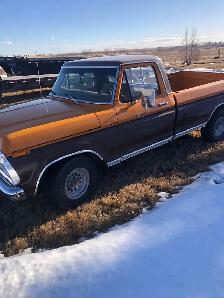 1975 F150