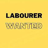 looking for a laborer