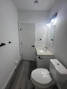 construction & renovation