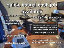 Looking for a casual house cleaner (read description)