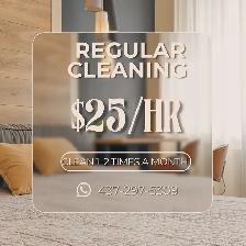 cleaning services