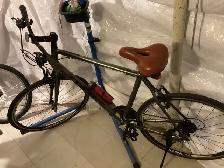 trek bike