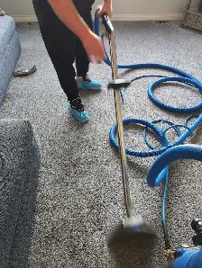 carpet and upholstery cleaning helper