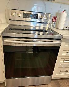 Samsungl 30' Electric  range