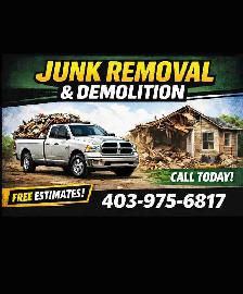 Clean up junk Removal Yards garages Garbage dump