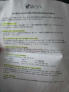 Praying For Some Cat Help