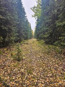 Rare Land Opportunity