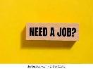 Job Wanted