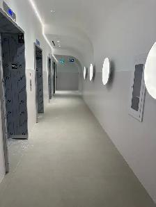 Condo in downtown for rent