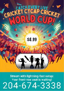 Turn Your Screen into a Cricket Stadium!