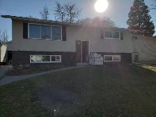 Basement suit for rent