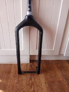 Carbon fatbike fork