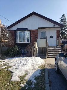 1 Bedroom Basement Apartment For Rent