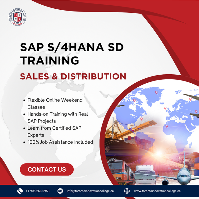 Boost Efficiency with SAP S/4HANA SD: A Complete Guide