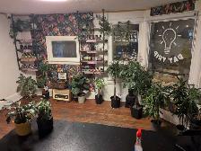 Part time retail staff - Kensington Market (Daytrip)