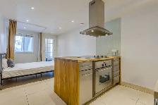 TRIPLEX - TRIPLE OCCUPATION - Photo 8