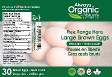 Graphic Designer ★ Logos, BCards, Vector, Books, Labels, WebD - Photo 8