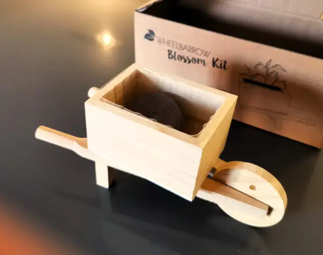 Brand New Craft Wheelbarrow