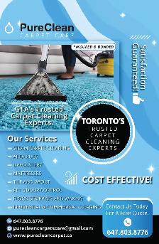 Professional Carpet and Upholstery Cleaning