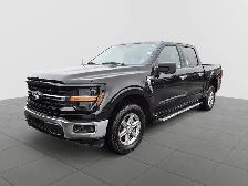 2024 Ford F-150 XLT XLT | 4WD SuperCrew 5.5' Box