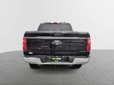 2024 Ford F-150 XLT XLT | 4WD SuperCrew 5.5' Box - Photo 3