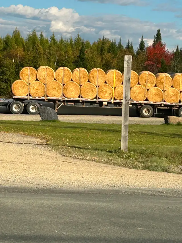 Round Bale Straw for Sale