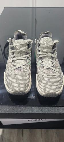 Nike Lebrons (Size 9)