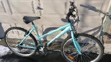 Ladies Commuter Bicycle