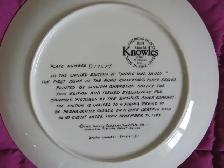 ANNIE AND SANDY COLLECTOR PLATE - Photo 2