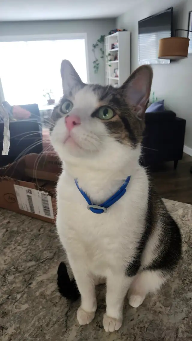 Looking for a new home