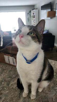 Looking for a new home