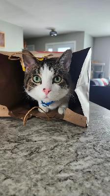 Looking for a new home - Photo 2