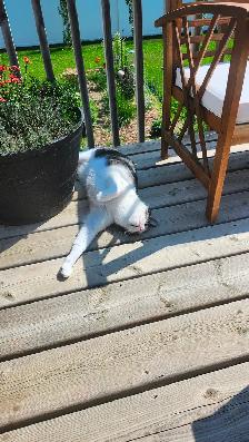 Looking for a new home - Photo 3