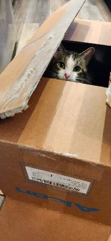 Looking for a new home - Photo 4