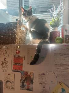 Looking for a new home - Photo 5