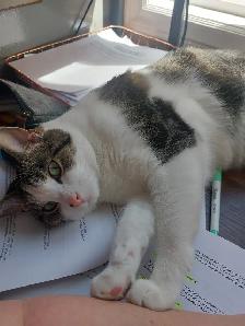 Looking for a new home - Photo 6