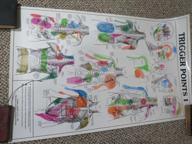 TRIGGER POINT CHARTS