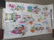 TRIGGER POINT CHARTS