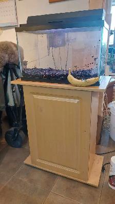 10 gallon aquarium with stand