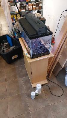 10 gallon aquarium with stand - Photo 2