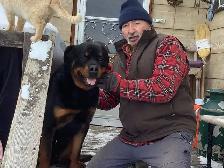 Puppies looking for forever homes - Photo 5