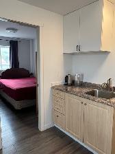 a bachelor with mountain view , near UBCO, Walmart for rent - Photo 6