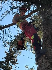 Turbo arborist. - Photo 6