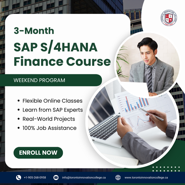 Mastering SAP S/4HANA Finance (FI): Build Your Financial Skills
