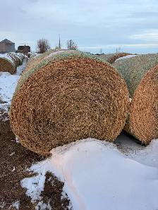 2025 2nd Cut Alfalfa Round Bales