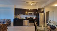 Furnished 1 bedroom luxuryCondo with wifi parking Yonge&Steeles