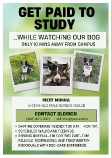 Get paid to study while watching our dog in our beautiful home