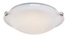 Flush Mount Ceiling Light Fixture 12in (Price $24.99)