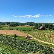 Looking for land for sale