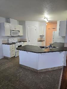 2 bedroom condo near the Hospital PET FRIENDLY! - Photo 21